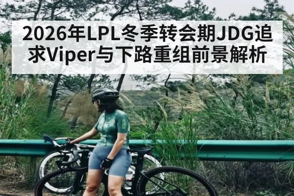 2026年LPL冬季转会期JDG追求Viper与下路重组前景解析